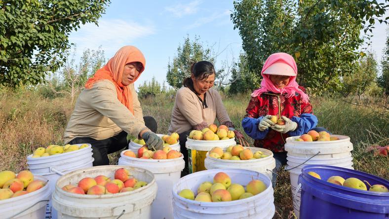 一到秋天,东三省就被它集体“硬控”